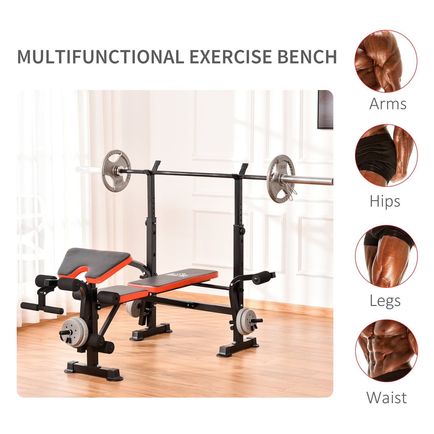 Premium Adjustable Weight Training Bench with Squat Rack & Multi-Functions