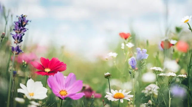 Spring Into Action: Must Have Home Essentials for the New Season