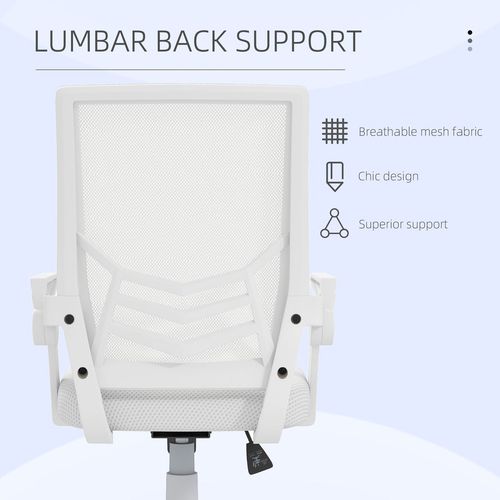 Vinsetto Ergonomic Mesh Office Chair with Lumbar Support - Adjustable & Stylish